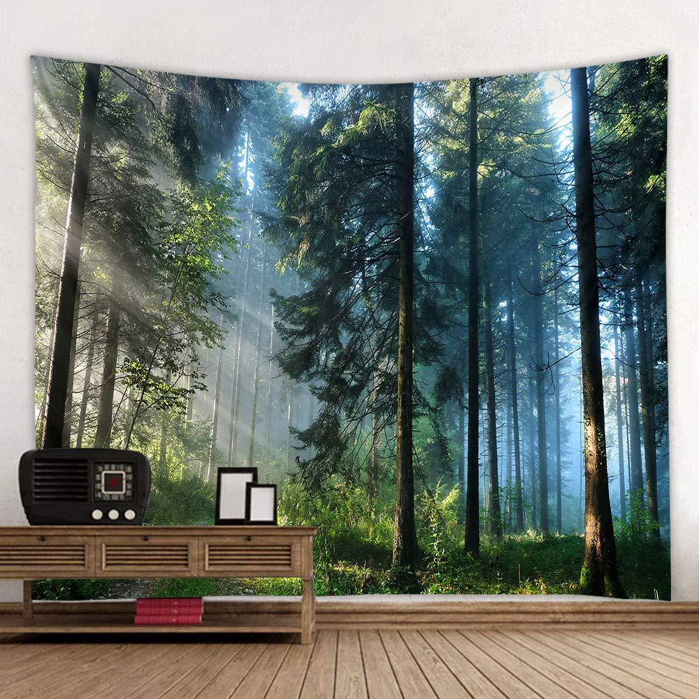 VIKAMA Outdoor Adventure Natur - Outdoor Adventure Background บทวิจารณ์และราคา